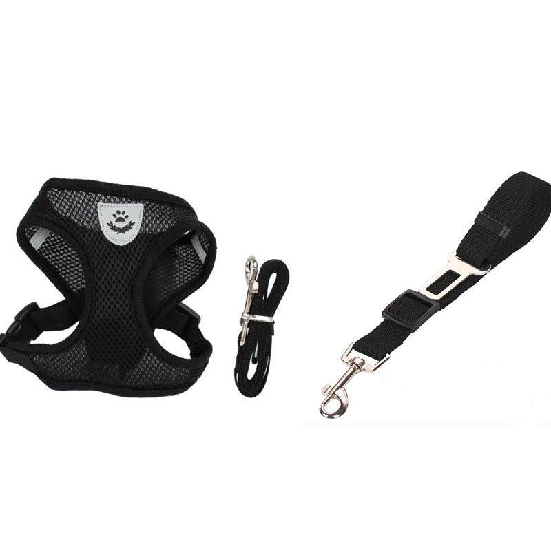 Pet Comfort Ride Leash And Seat Belt Combo
