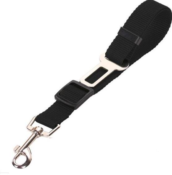 Pet Comfort Ride Leash And Seat Belt Combo