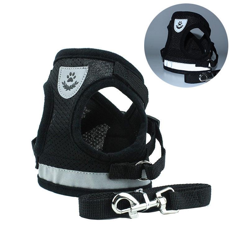 Pet Comfort Ride Leash And Seat Belt Combo