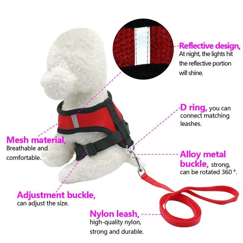 Pet Comfort Ride Leash And Seat Belt Combo
