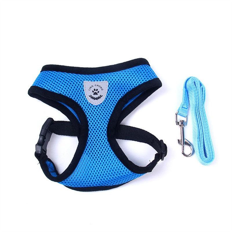 Pet Comfort Ride Leash And Seat Belt Combo