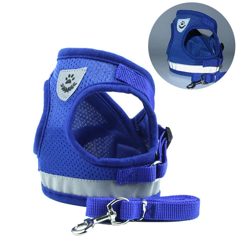 Pet Comfort Ride Leash And Seat Belt Combo